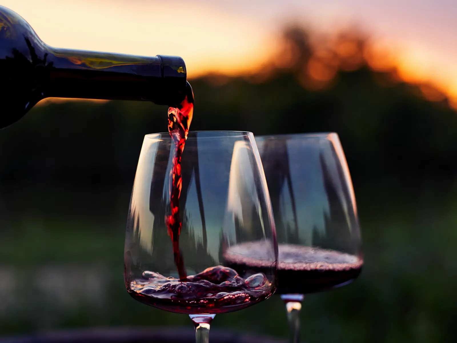 WINE Sales 61 WINE Sales -WINE Sales BEER62