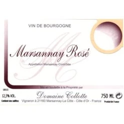 Domaine Collotte Marsannay Rose 2022 -WINE Sales jcs8ynv6x1xmfbgjj07z