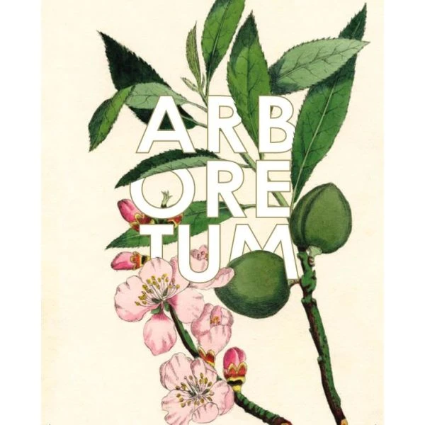 Botanica Wines Arboretum Red 2017 4 Botanica Wines Arboretum Red 2017 - Image 2