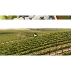 Liquid Light Rose 2021 -WINE Sales wcfchwj9zisy6cquvvq5